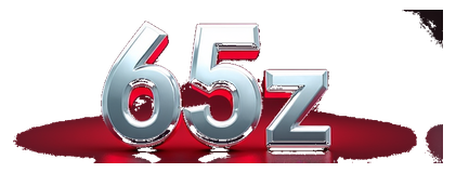 65z logo